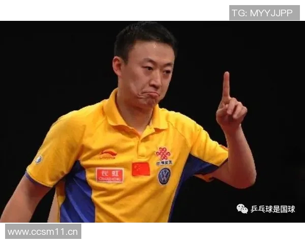 杭州羽毛球队反击之路:胜负背后的策略与启示分析 杭州羽毛球队反击之路:胜负背后的策略与启示分析