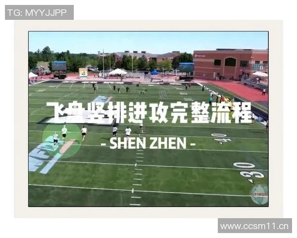 广州飞盘队反击战术解析与实战应用探讨