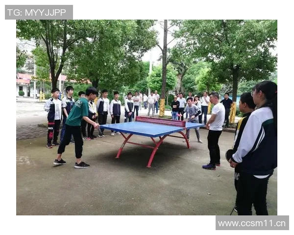 武汉乒乓球队在阵地战中的表现分析与未来发展方向探讨