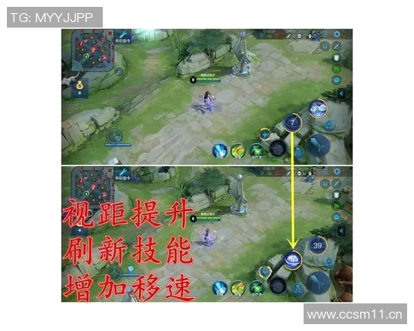 王者荣耀战术解析V5战队运营体系的成功秘诀与实战应用