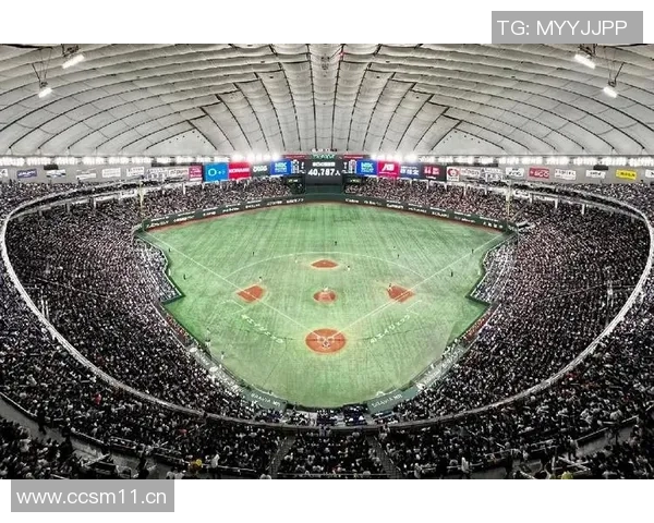 以东京体育馆为核心，探索周边文化、休闲与运动的完美结合