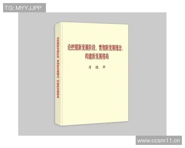 以大前锋为核心构建全新战术体系探索与实践分析